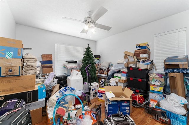 5920 SW 88th Pl, Ocala, FL 34476 - storage room with ceiling fan