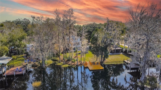 6620 S Merleing Loop, Floral City, FL 34436 - water view with a floating dock and a tree filled landscape