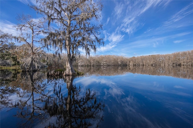 6620 S Merleing Loop, Floral City, FL 34436 - water view with a heavily wooded area