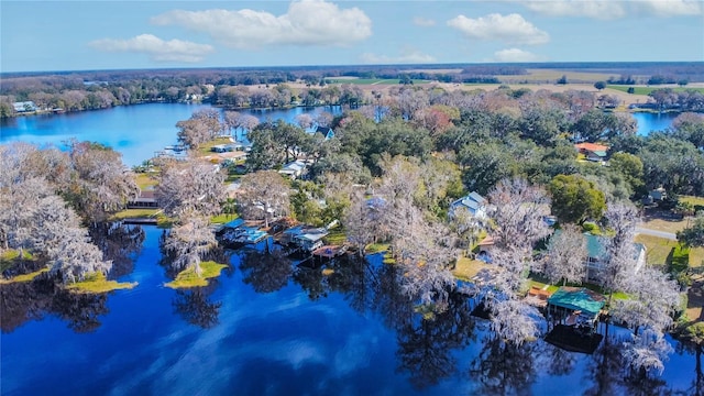6620 S Merleing Loop, Floral City, FL 34436 - bird's eye view of a large body of water