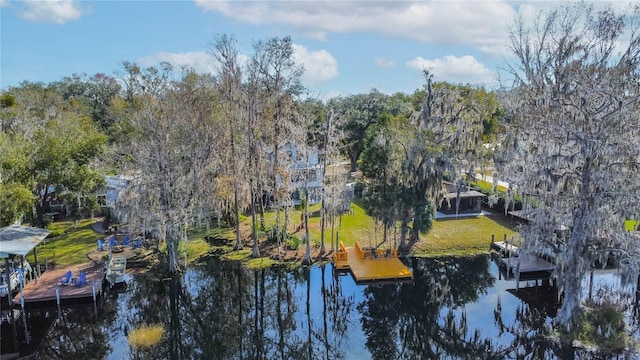 6620 S Merleing Loop, Floral City, FL 34436 - water view with a floating dock and a tree filled landscape