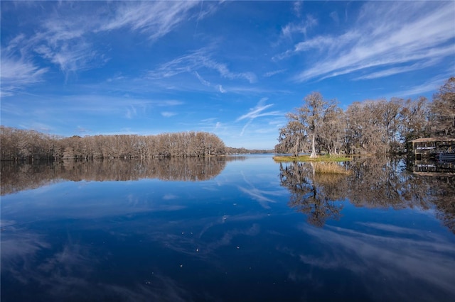 6620 S Merleing Loop, Floral City, FL 34436 - water view