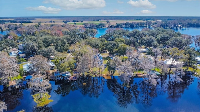 6620 S Merleing Loop, Floral City, FL 34436 - aerial view of a large body of water