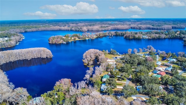 6620 S Merleing Loop, Floral City, FL 34436 - aerial view of a large body of water and a heavily wooded area