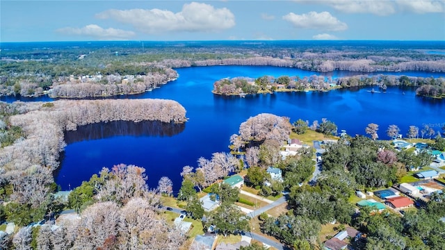 6620 S Merleing Loop, Floral City, FL 34436 - view of property location with a large body of water and a forest