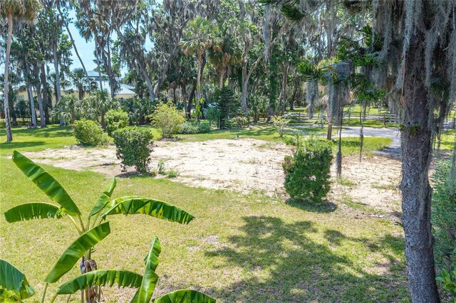 381 NW Magnolia Cir, Crystal River, FL 34428