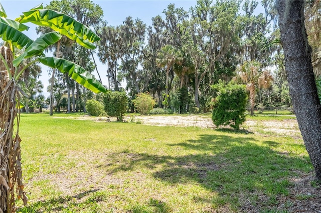 381 NW Magnolia Cir, Crystal River, FL 34428