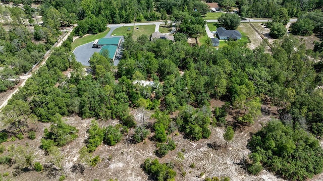 2948 W Henley Ln, Dunnellon, FL 34433 - aerial overview of property's location