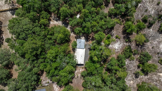 2948 W Henley Ln, Dunnellon, FL 34433 - aerial view