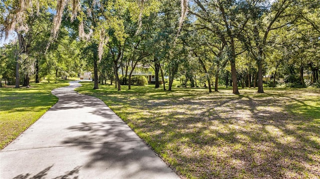 20861 SW 81st Loop, Dunnellon, FL 34431 - view of community featuring a lawn