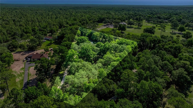 20861 SW 81st Loop, Dunnellon, FL 34431 - aerial view of property's location with a heavily wooded area