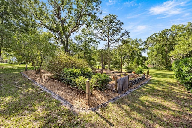 20861 SW 81st Loop, Dunnellon, FL 34431 - view of green lawn featuring a vegetable garden