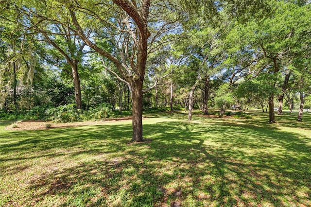 20861 SW 81st Loop, Dunnellon, FL 34431 - view of green lawn