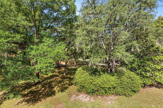 20861 SW 81st Loop, Dunnellon, FL 34431 - view of yard