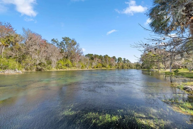 20861 SW 81st Loop, Dunnellon, FL 34431 - water view featuring a forest