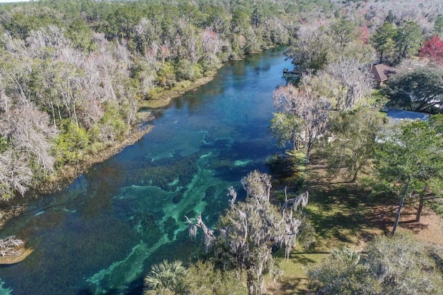 20861 SW 81st Loop, Dunnellon, FL 34431 - bird's eye view of a heavily wooded area and a large body of water