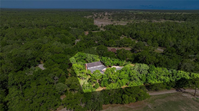 20861 SW 81st Loop, Dunnellon, FL 34431 - view of property location featuring a heavily wooded area