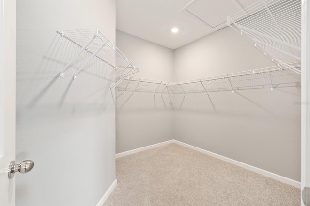 1875 NW 44 Court Rd, Ocala, FL 34482 - walk in closet featuring carpet