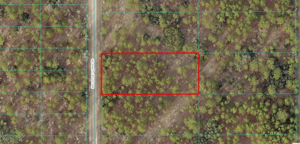 TBDLOT24 SW Little Cliffs Dr, Dunnellon, FL 34431