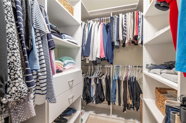 view of walk in closet