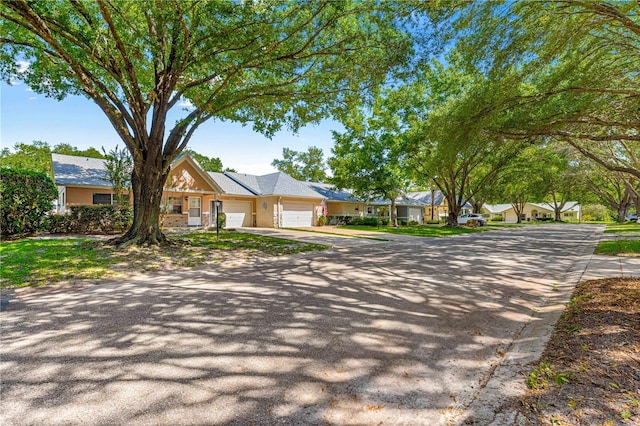 ranch-style home with driveway, an attached garage, and a residential view