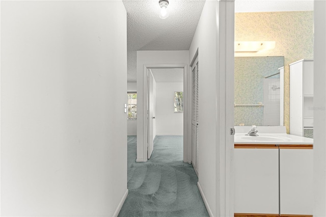 hallway featuring a sink, a textured ceiling, and carpet flooring