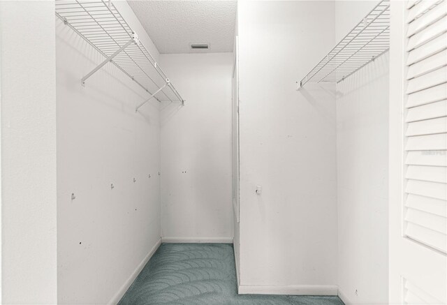spacious closet with carpet flooring