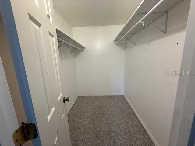 17522 SE 96th Ct, Summerfield, FL 34491 - walk in closet featuring carpet floors