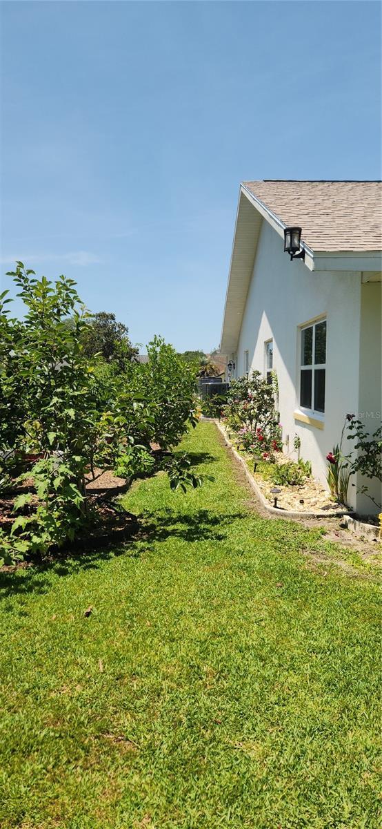 3891 N Grapefern Way, Beverly Hills, FL 34465 - view of grassy yard
