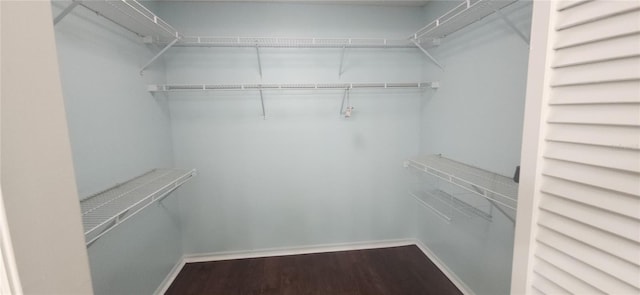 3891 N Grapefern Way, Beverly Hills, FL 34465 - spacious closet featuring wood finished floors