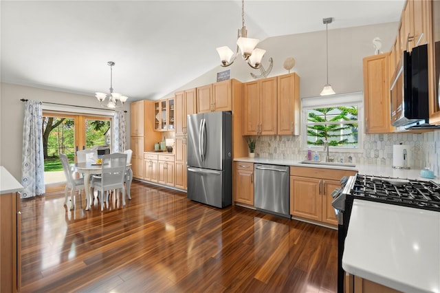 kitchen with a chandelier, stainless steel appliances, a sink, plenty of natural light, and vaulted ceiling