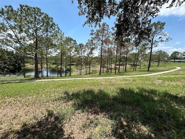 view of home's community with a water view and a lawn