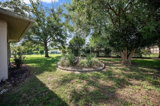 4992 NW 31st St, Ocala, FL 34482 - view of yard