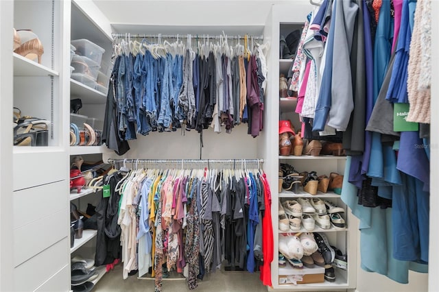 view of walk in closet