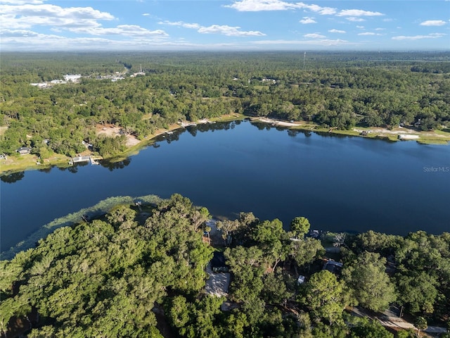 754 SE 167th Court Rd, Silver Springs, FL 34488 - aerial view of property and surrounding area featuring a forest and a nearby body of water