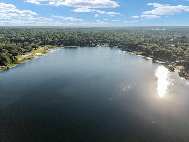 754 SE 167th Court Rd, Silver Springs, FL 34488 - aerial view of a forest and a large body of water
