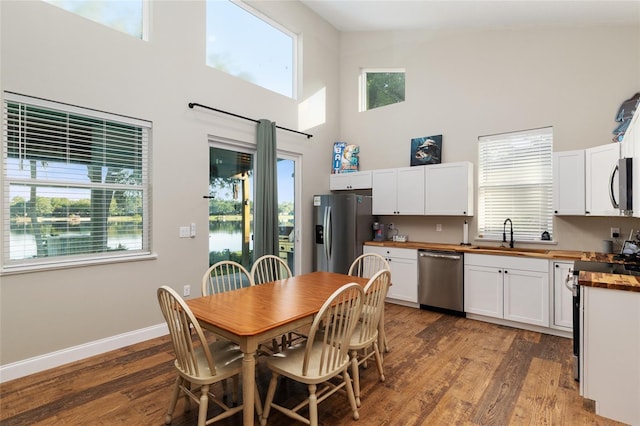 754 SE 167th Court Rd, Silver Springs, FL 34488 - kitchen with stainless steel appliances, wood counters, a towering ceiling, a sink, and light wood-style flooring