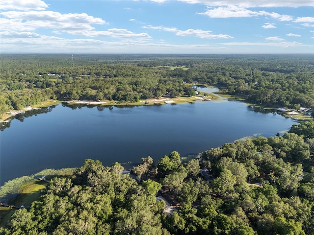 754 SE 167th Court Rd, Silver Springs, FL 34488 - bird's eye view of a heavily wooded area and a nearby body of water