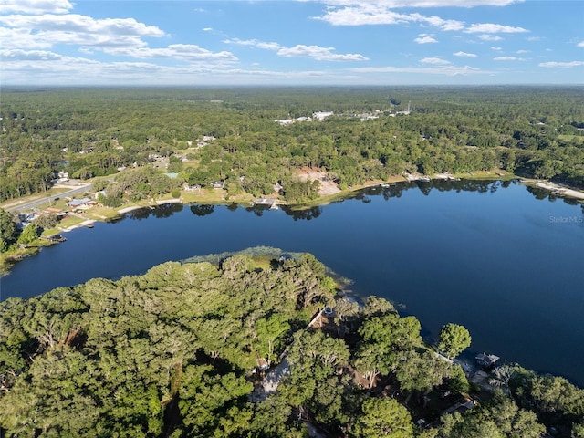 754 SE 167th Court Rd, Silver Springs, FL 34488 - view of property location featuring a forest and a large body of water