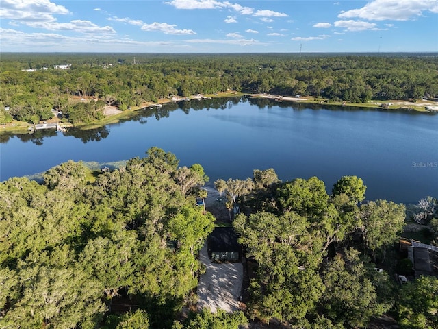 754 SE 167th Court Rd, Silver Springs, FL 34488 - view of property location with a forest and a nearby body of water