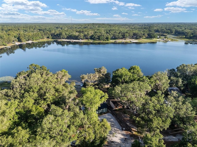 754 SE 167th Court Rd, Silver Springs, FL 34488 - view of property location with a heavily wooded area and a large body of water