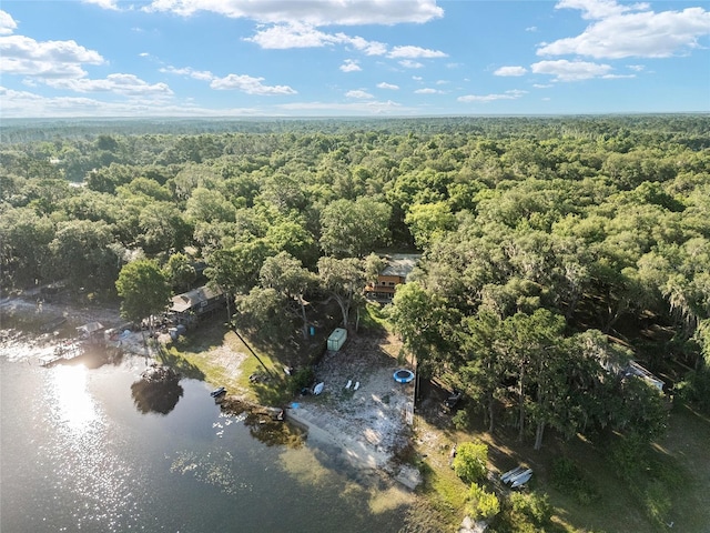 754 SE 167th Court Rd, Silver Springs, FL 34488 - aerial view of property's location featuring a heavily wooded area and a nearby body of water