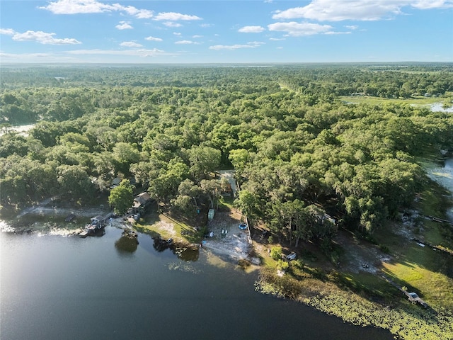 754 SE 167th Court Rd, Silver Springs, FL 34488 - aerial view of property's location with a forest and a nearby body of water