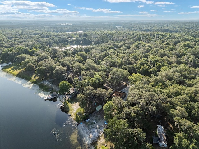 754 SE 167th Court Rd, Silver Springs, FL 34488 - aerial view of a heavily wooded area and a large body of water