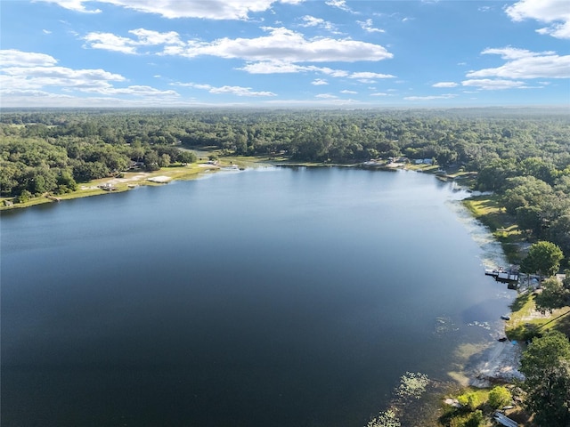 754 SE 167th Court Rd, Silver Springs, FL 34488 - aerial view of a forest and a nearby body of water