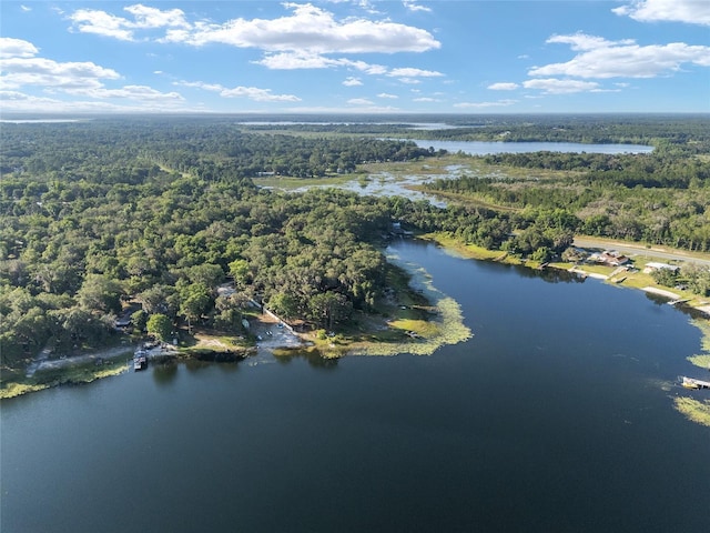 754 SE 167th Court Rd, Silver Springs, FL 34488 - aerial view of property's location with a heavily wooded area and a large body of water