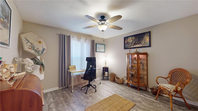 307 N Kinglet Ave, Hernando, FL 34442 - office space with light wood-style flooring, a ceiling fan, and baseboards