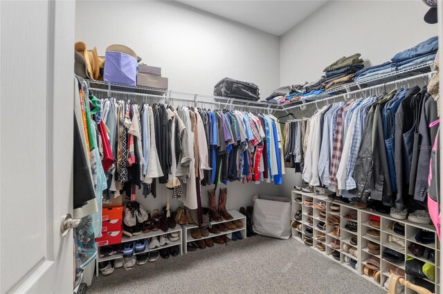 3612 SE 47th Ter, Ocala, FL 34480 - spacious closet featuring carpet floors