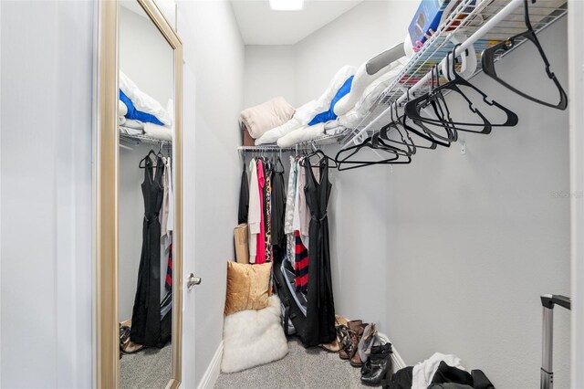 3612 SE 47th Ter, Ocala, FL 34480 - walk in closet featuring carpet floors