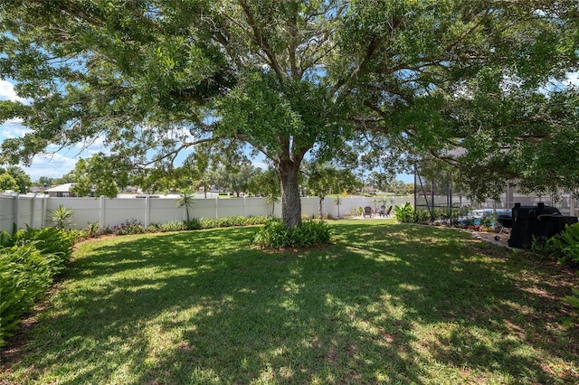3612 SE 47th Ter, Ocala, FL 34480 - view of yard